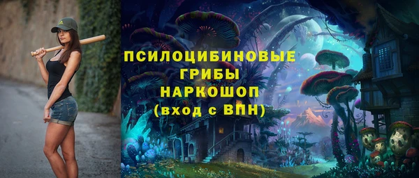 мяу мяу мука Бугульма